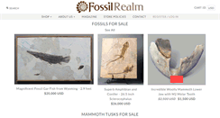 Desktop Screenshot of fossilrealm.com